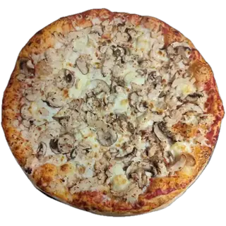 Pizza Chicken cheese